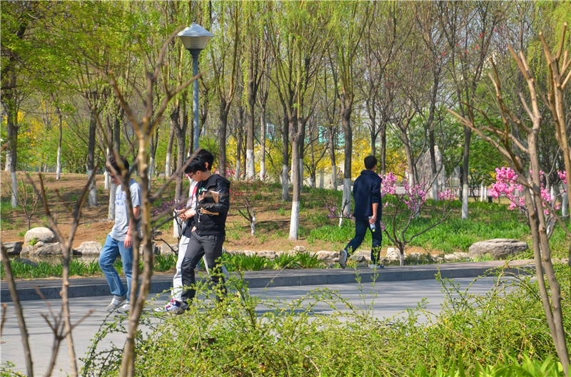 尊龙凯时人生就是搏(中国区)官方网站